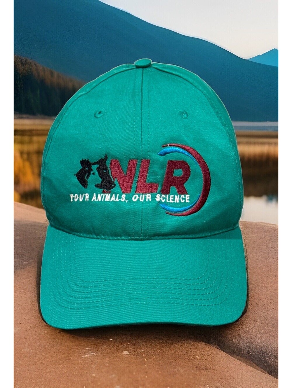 National Library Of Medicine 💊 Your Animals Our Science Green Baseball Cap
